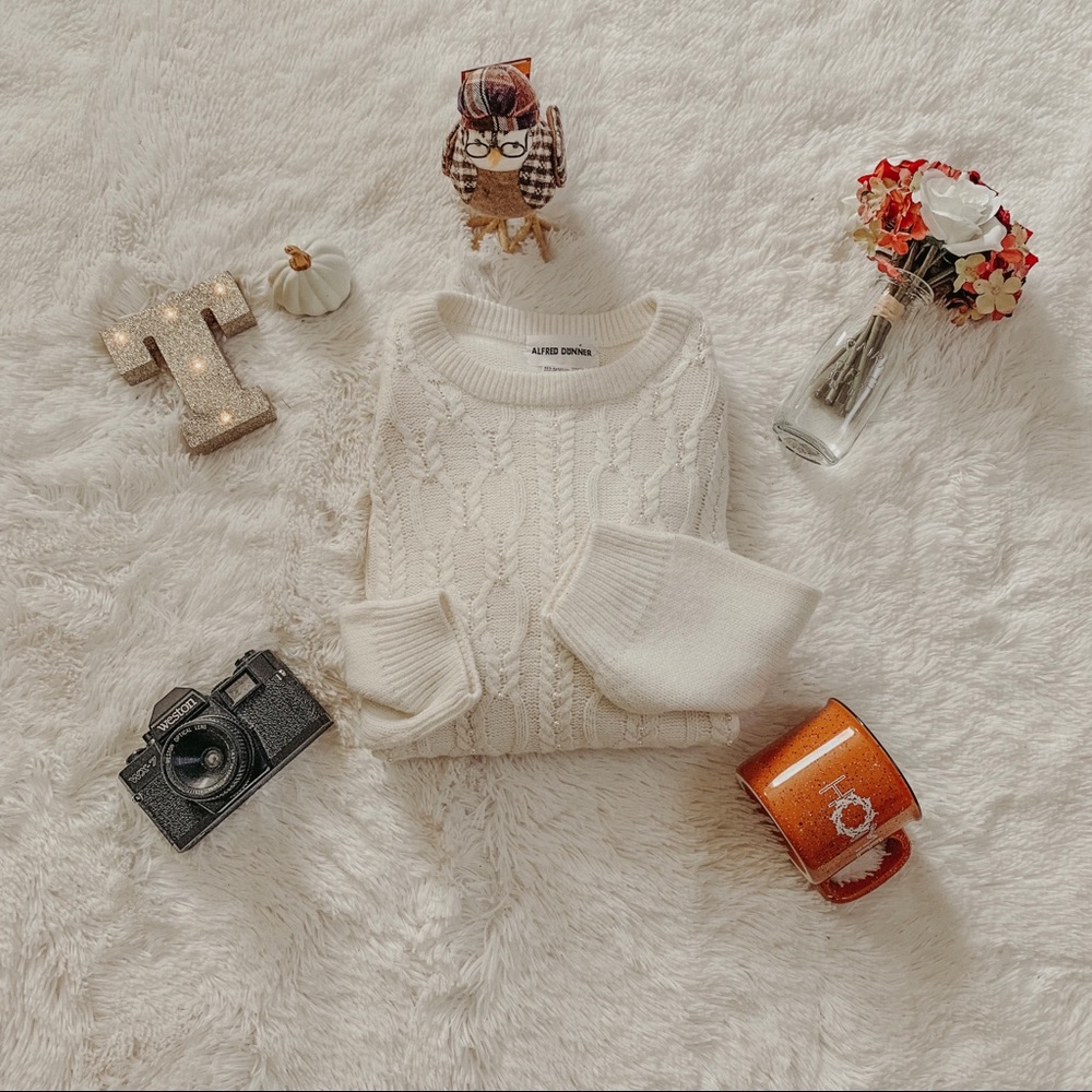 Vintage Alfred Dunner Cream Grandma Sweater SZ 3X